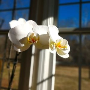 Meet your Posher, Anita